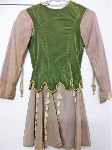 Kids Costumes to Hire - Green & Beige Top & Skirt - GIRL